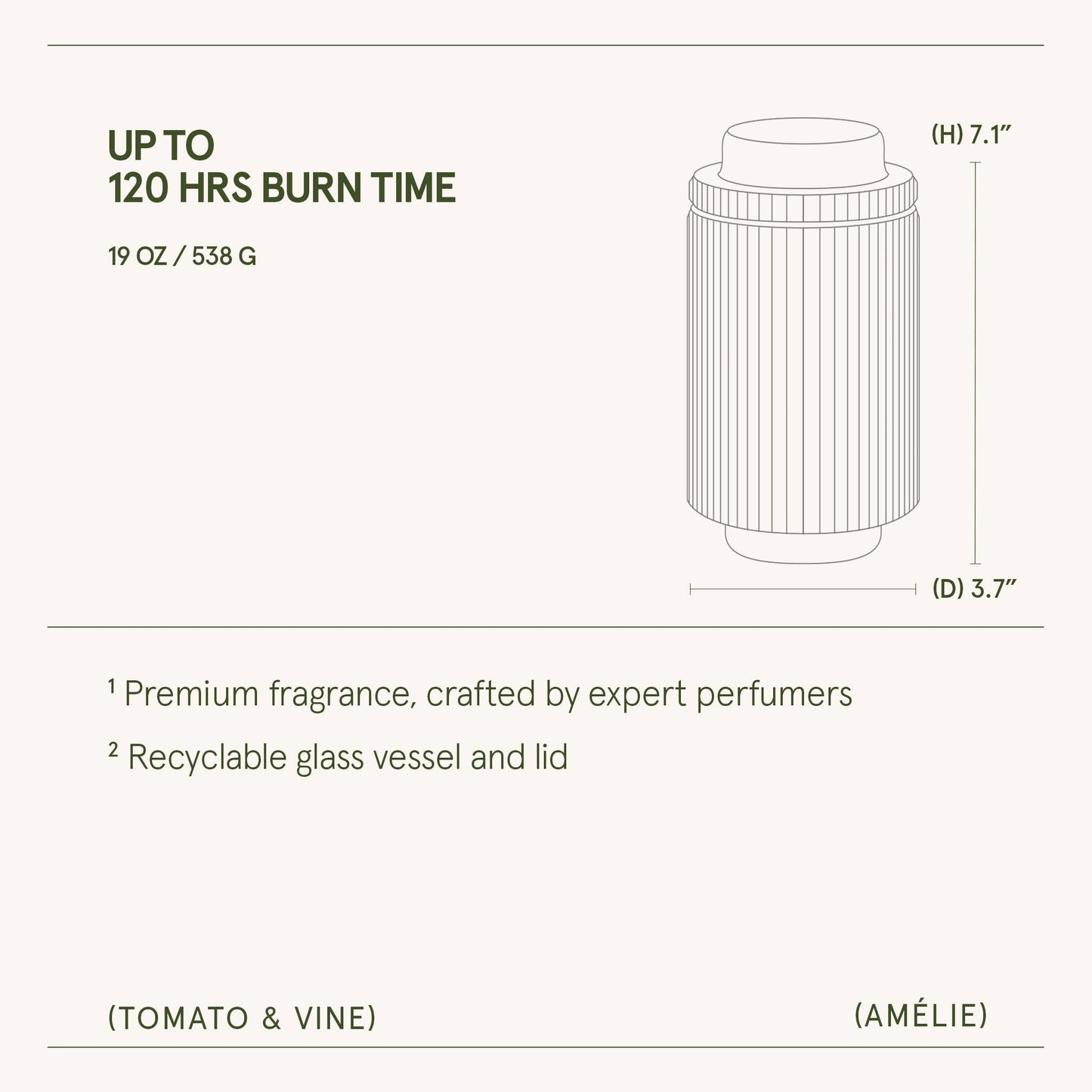 Scented Candle - Tomato & Vine - 19oz | La Jolie Muse