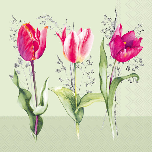 Paper Cocktail Napkins 20 Ct Tulip Beauties Light Green