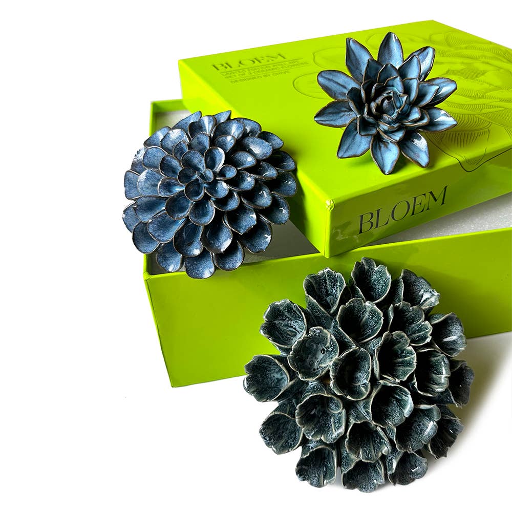 Ceramic Faux Succulents - Flower Gift Box Sets: Dawn