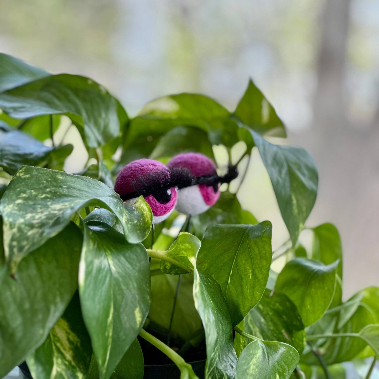 Felt Planter Eyeballs with Eyelashes : Pink