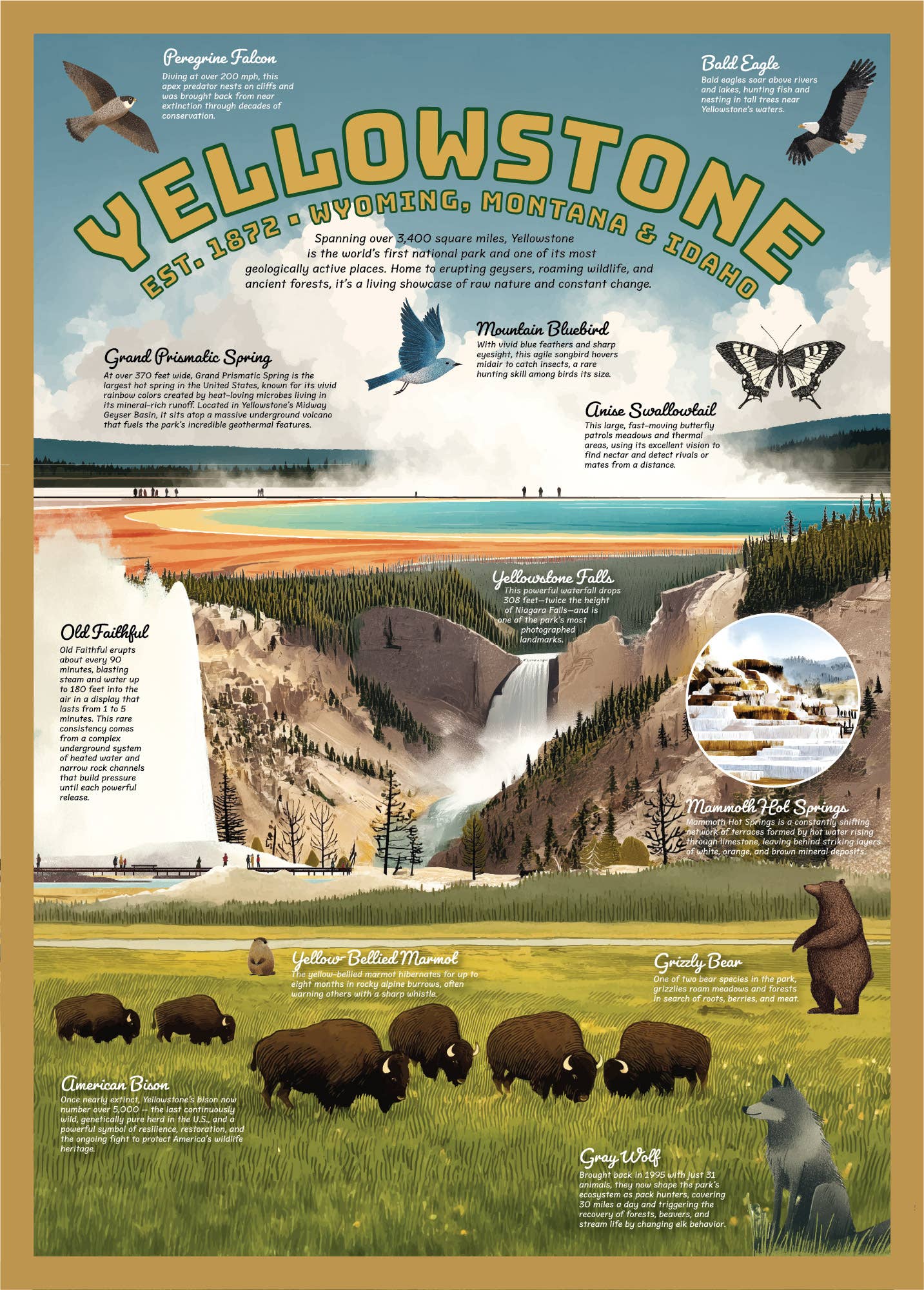 123 Farm - Yellowstone Puzzle – 500 Pc Tube with Vintage Illustrations