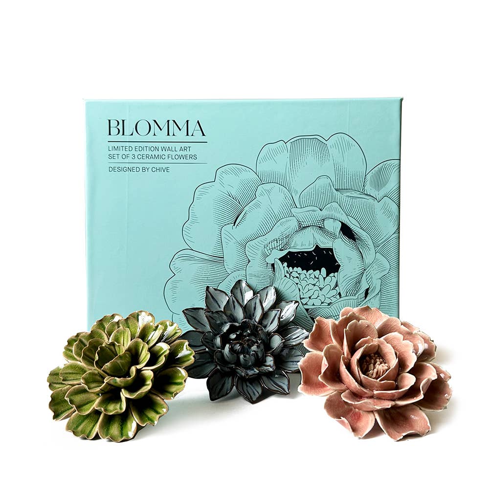 Ceramic Faux Succulents - Flower Gift Box Sets: Dawn