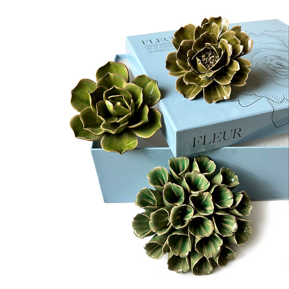 Ceramic Faux Succulents - Flower Gift Box Sets: Dawn