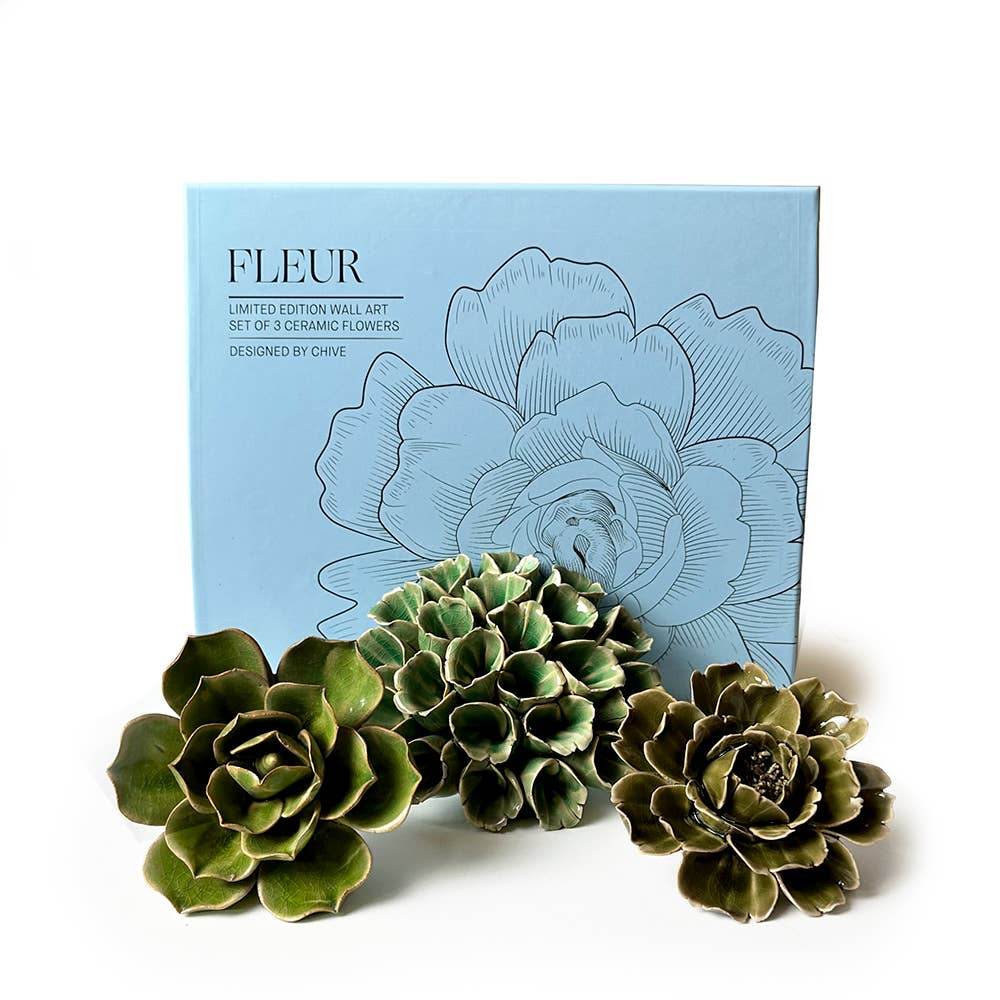 Ceramic Faux Succulents - Flower Gift Box Sets: Dawn