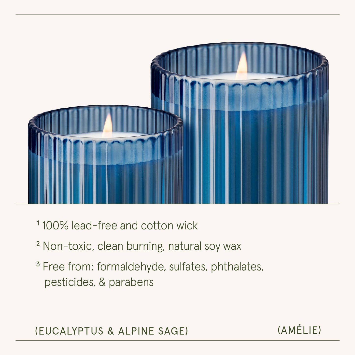 La Jolie Muse Eucalyptus & Alpine Sage - 19oz Candle