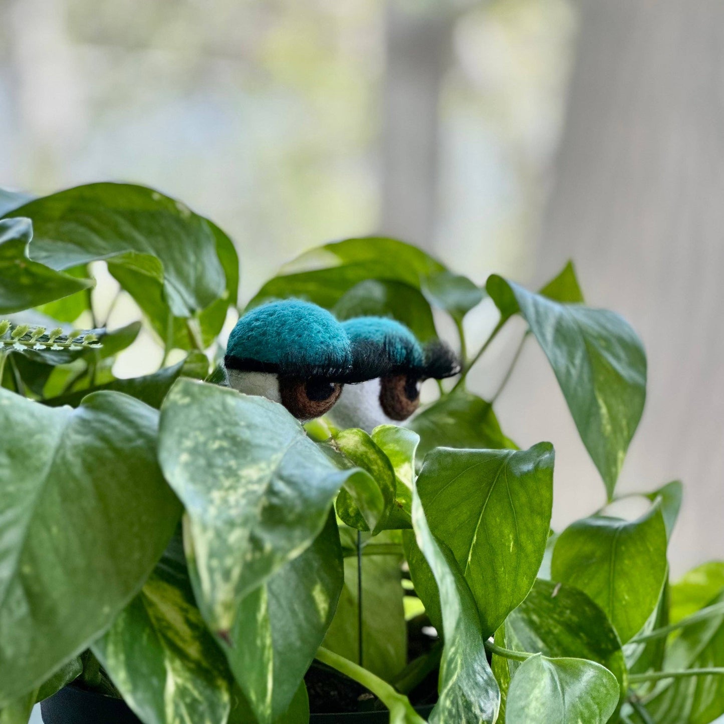 Felt Planter Eyeballs with Eyelashes : Sage