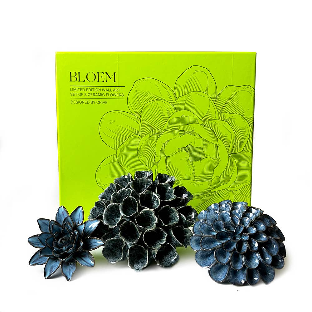 Ceramic Faux Succulents - Flower Gift Box Sets: Dawn